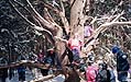 Kids love the Monkey tree :-)
