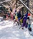 More fun on the monkey tree!