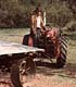 Son on Tractor